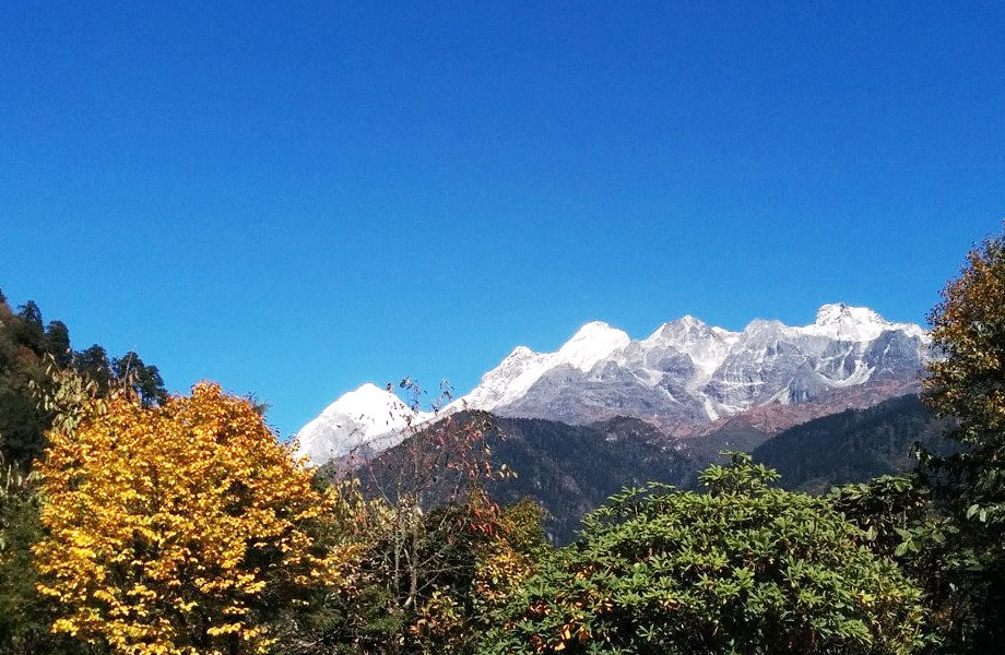 Kanchendzonga National Park