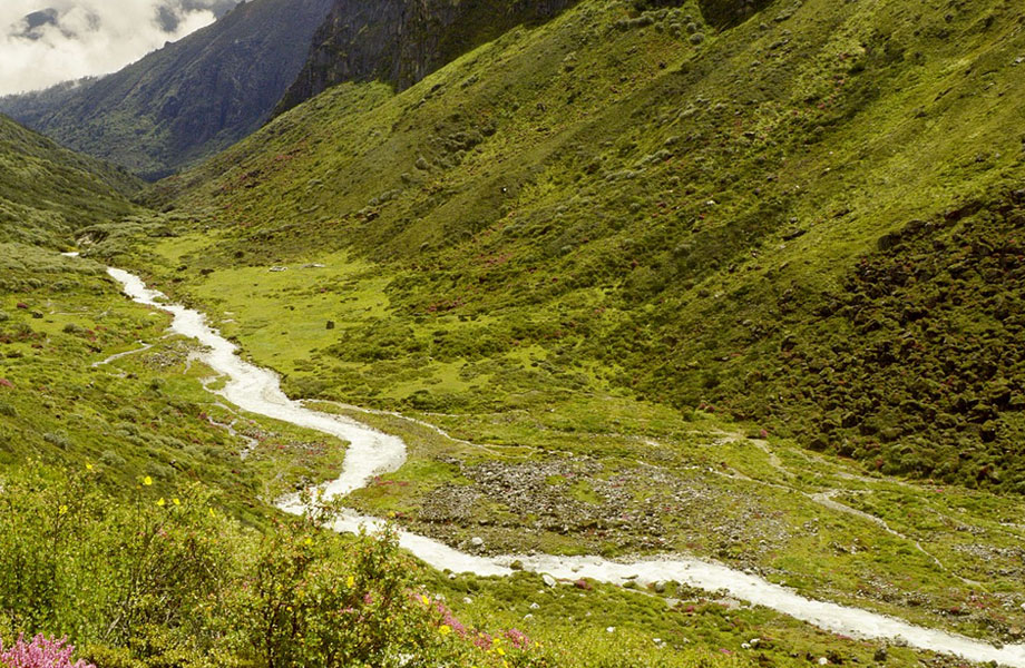 Kanchendzonga National Park