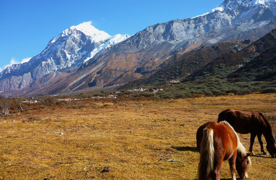 North Sikkim