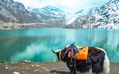 Tsomgo Lake