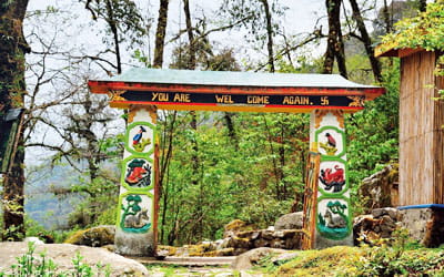 Varsey Rhododendron Sanctuary